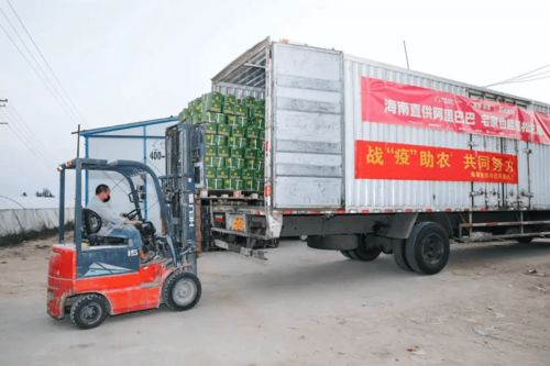 一生只做一件事 的農(nóng)業(yè)科學家,跟阿里巴巴一起做了另一件大事