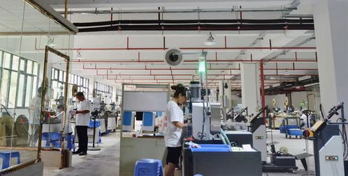 徐本國 把工廠從深圳搬回云陽 為家鄉(xiāng)發(fā)展出一份力